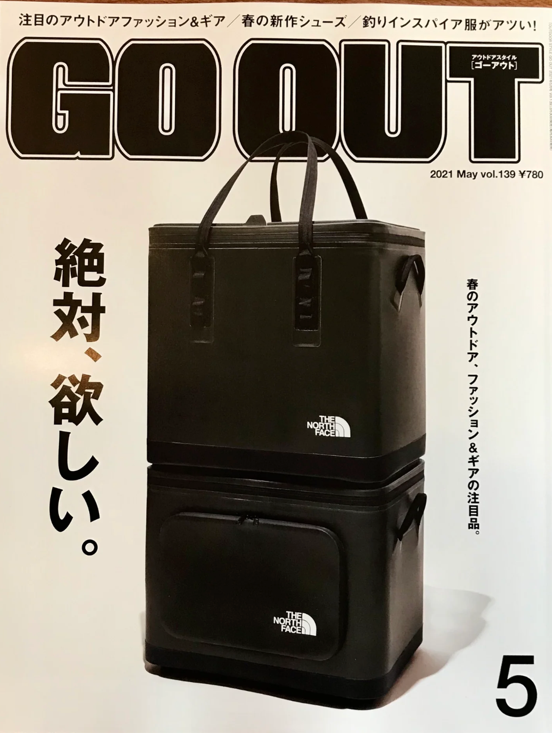 NORTH FACE Limited record bag グラマー for 7inch